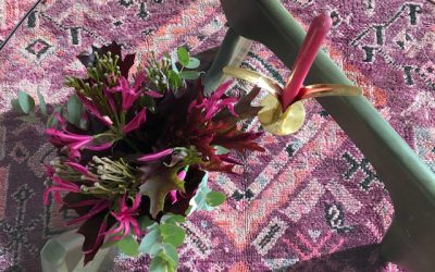 Oslo POP-UP i oktober